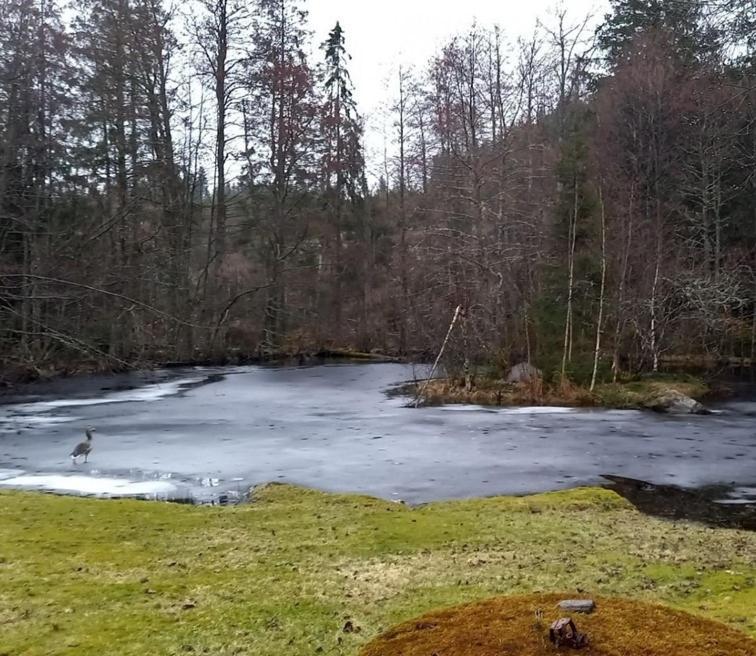 Gaeststuga I Vacker Natur, Bastu, Bubbelpool Sommartid Och Gratis Parkering Naera Ulricehamn Och Lassalyckan, Guesthouse With Nice View With Sauna And Free Parking Close To Dalsjoefors And Fishing Borås Εξωτερικό φωτογραφία